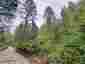 Pocatello Real Estate - MLS #582778 - Photograph #12