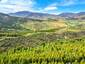Pocatello Real Estate - MLS #582778 - Photograph #13