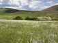 Pocatello Real Estate - MLS #582952 - Photograph #16