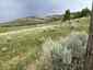 Pocatello Real Estate - MLS #582952 - Photograph #20