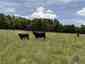 Pocatello Real Estate - MLS #582952 - Photograph #23