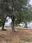 Pocatello Real Estate - MLS #582962 - Photograph #4