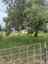 Pocatello Real Estate - MLS #582962 - Photograph #6