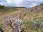 Pocatello Real Estate - MLS #582970 - Photograph #44
