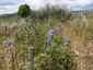 Pocatello Real Estate - MLS #582970 - Photograph #45