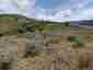 Pocatello Real Estate - MLS #582970 - Photograph #47
