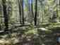 Pocatello Real Estate - MLS #582974 - Photograph #7