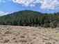 Pocatello Real Estate - MLS #582974 - Photograph #12
