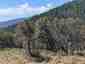 Pocatello Real Estate - MLS #582974 - Photograph #13