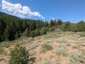 Pocatello Real Estate - MLS #582974 - Photograph #16