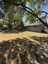 Pocatello Real Estate - MLS #582978 - Photograph #20