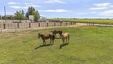 Pocatello Real Estate - MLS #582997 - Photograph #49