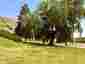 Pocatello Real Estate - MLS #583106 - Photograph #32