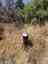 Pocatello Real Estate - MLS #583111 - Photograph #26