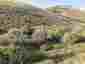 Pocatello Real Estate - MLS #583311 - Photograph #2