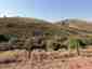 Pocatello Real Estate - MLS #583311 - Photograph #11