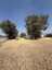 Pocatello Real Estate - MLS #583313 - Photograph #2