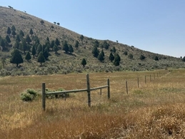 Bancroft Idaho Real Estate