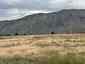 Pocatello Real Estate - MLS #583483 - Photograph #5