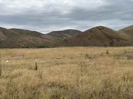 Inkom Idaho Real Estate