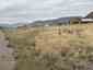 Pocatello Real Estate - MLS #583484 - Photograph #8