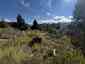 Pocatello Real Estate - MLS #583502 - Photograph #9