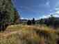 Pocatello Real Estate - MLS #583502 - Photograph #13