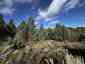 Pocatello Real Estate - MLS #583502 - Photograph #17