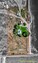Pocatello Real Estate - MLS #583531 - Photograph #41