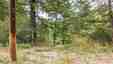 Pocatello Real Estate - MLS #583542 - Photograph #10