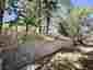Pocatello Real Estate - MLS #583611 - Photograph #26