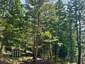 Pocatello Real Estate - MLS #583631 - Photograph #48