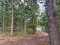 Pocatello Real Estate - MLS #583631 - Photograph #10