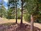 Pocatello Real Estate - MLS #583631 - Photograph #20