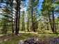 Pocatello Real Estate - MLS #583632 - Photograph #47