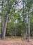 Pocatello Real Estate - MLS #583632 - Photograph #8