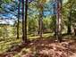 Pocatello Real Estate - MLS #583632 - Photograph #19