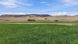 Pocatello Real Estate - MLS #583635 - Photograph #3