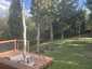 Pocatello Real Estate - MLS #583645 - Photograph #40