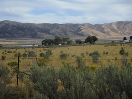 Malad City Idaho Real Estate