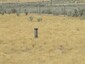 Pocatello Real Estate - MLS #583648 - Photograph #3