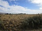 Pocatello Real Estate - MLS #583648 - Photograph #7