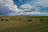 Pocatello Real Estate - MLS #583652 - Photograph #6