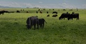 Pocatello Real Estate - MLS #583652 - Photograph #7
