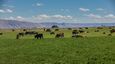 Pocatello Real Estate - MLS #583652 - Photograph #9