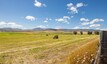Pocatello Real Estate - MLS #583652 - Photograph #13