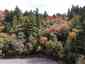 Pocatello Real Estate - MLS #583660 - Photograph #5