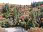 Pocatello Real Estate - MLS #583660 - Photograph #6