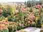 Pocatello Real Estate - MLS #583660 - Photograph #9