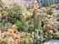 Pocatello Real Estate - MLS #583660 - Photograph #10
